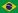 Português